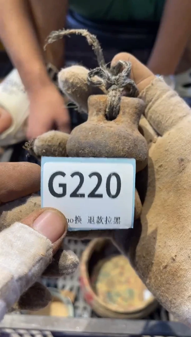 瓷片依****空表弟直播链接火爆火爆