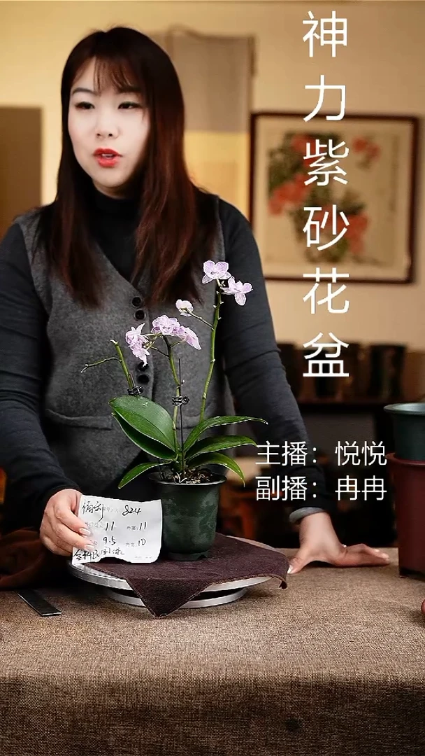 紫砂花盆花卉工艺824