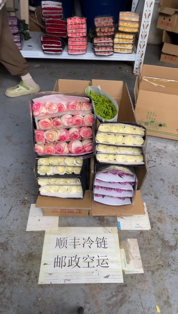 骄傲2扎+紫霞1扎+艾沙1扎+黄莺