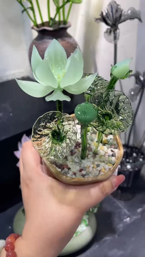 琉璃54荷花