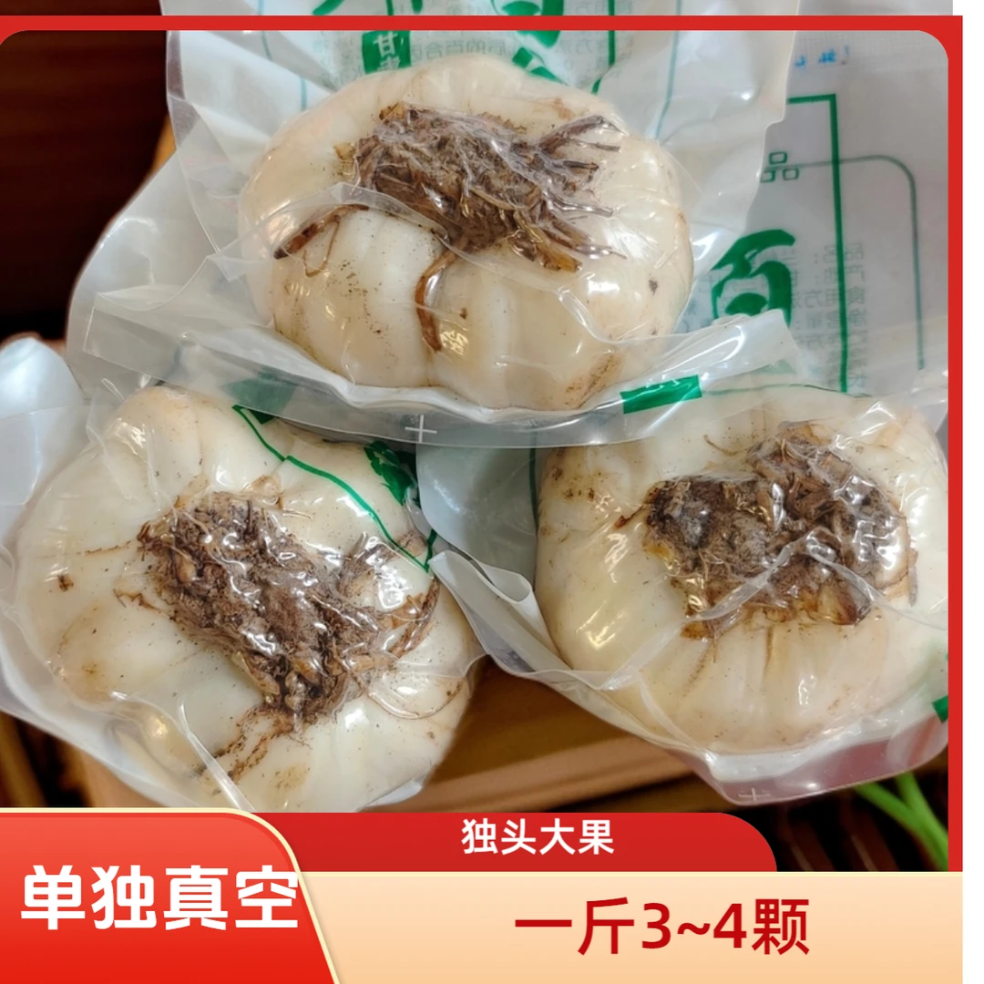 兰州百合新鲜甜百合食用水果百合现挖大果肉厚品质百合蔬菜甘肃
