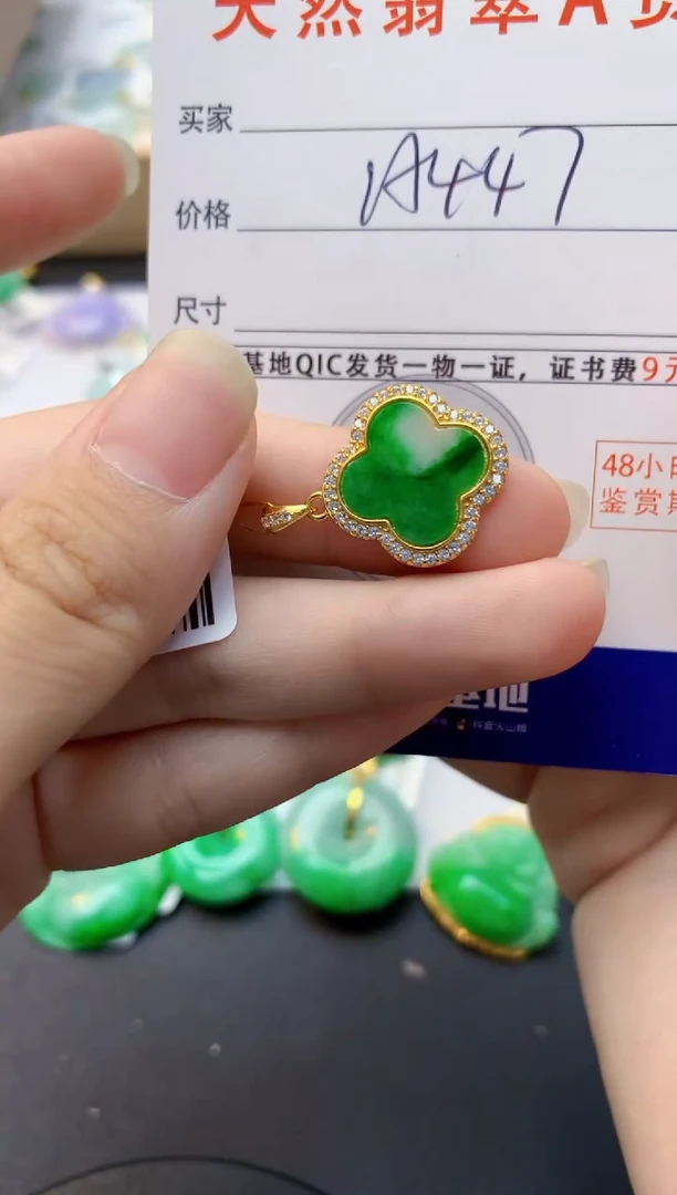 颈饰未镶嵌翡翠天然缅甸A货翡翠
