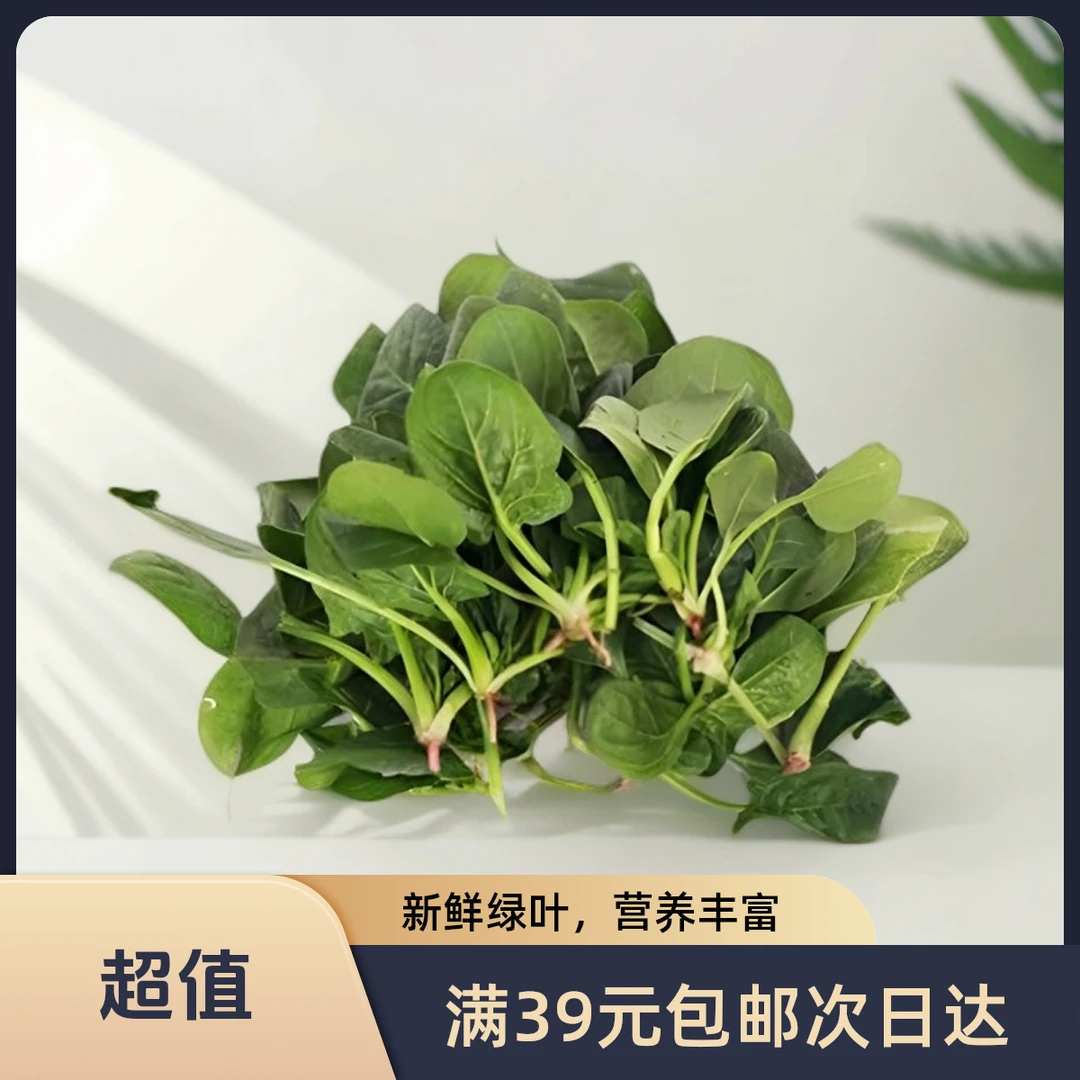 【甄选】菠菜苗400g次日达菠菜