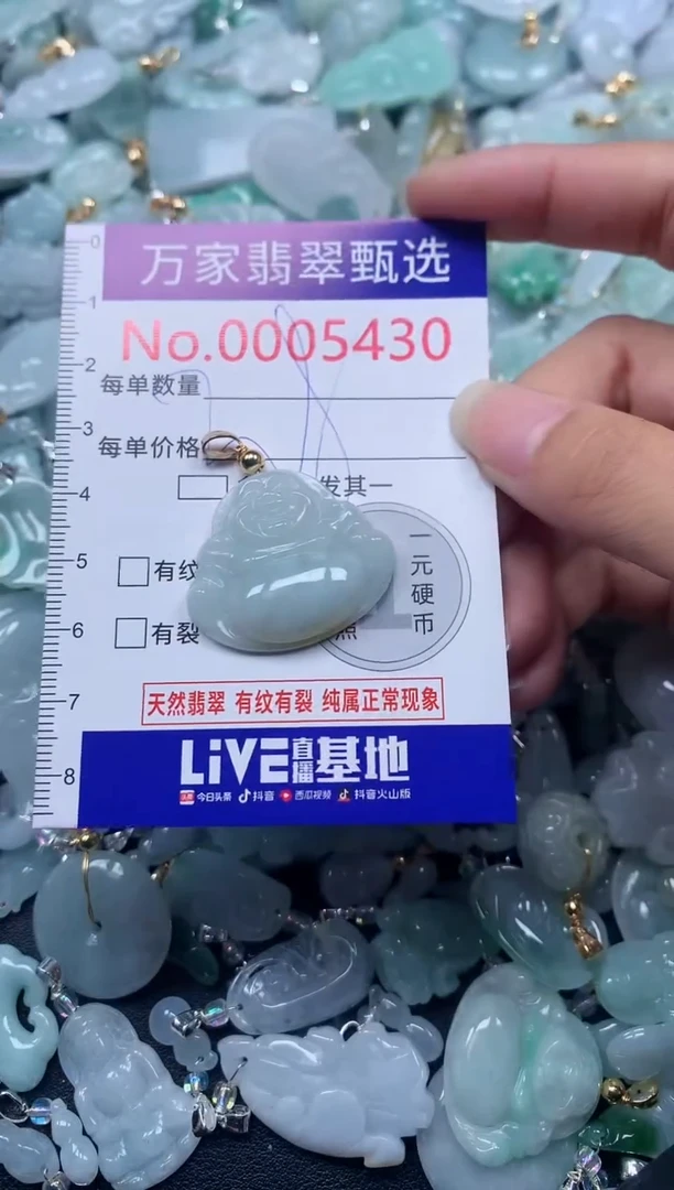 颈饰未镶嵌翡翠5430