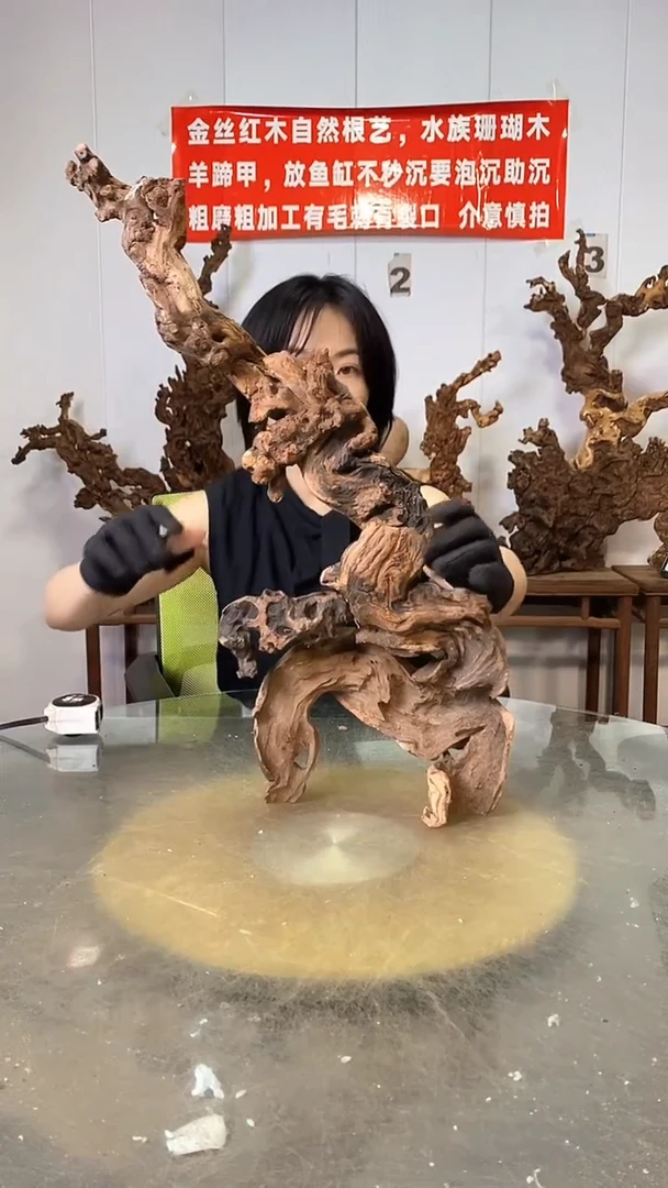 香榧木万**一金丝红木   羊蹄甲