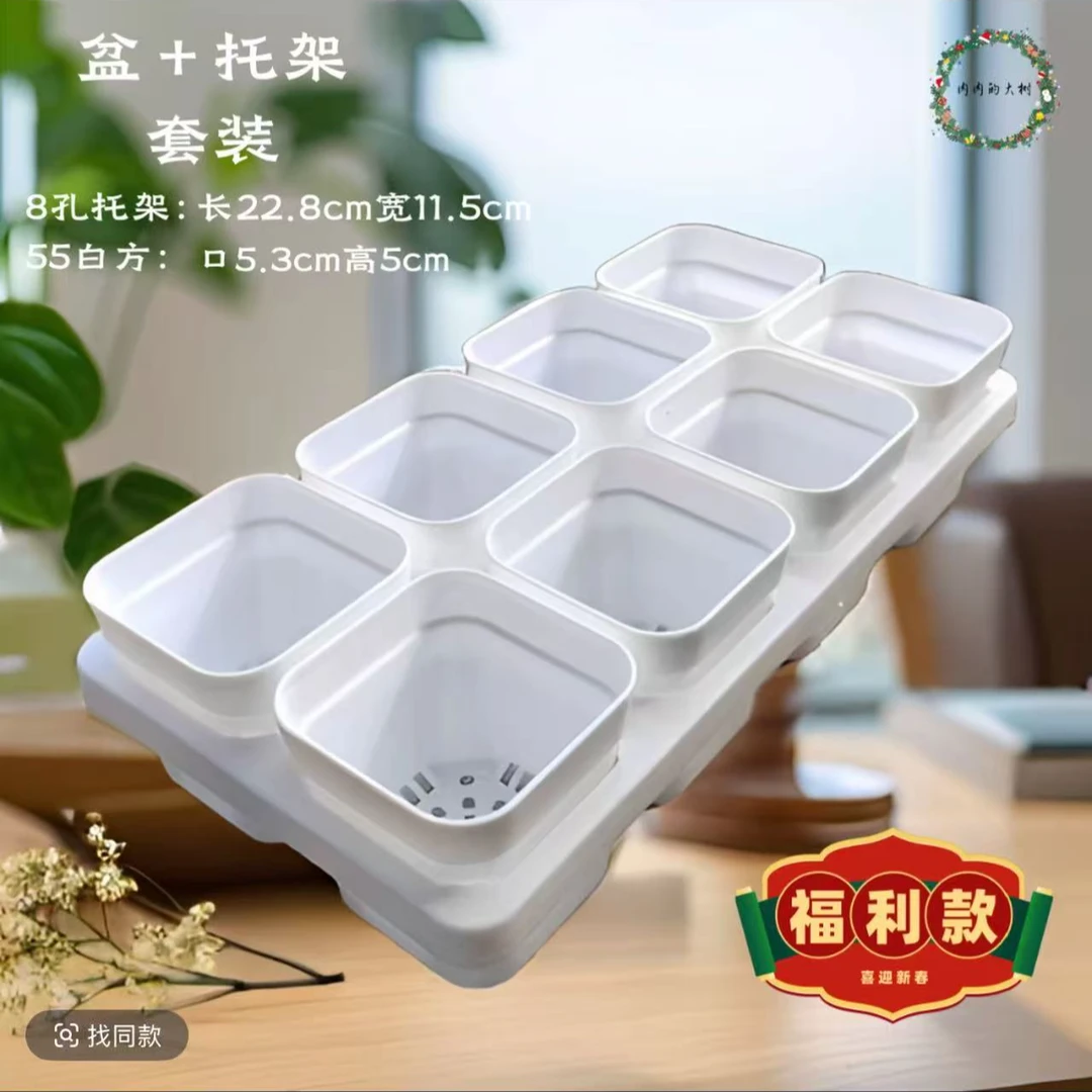 盆+托套装备  5.3厘米白方盆+8孔托架多肉植物花盆