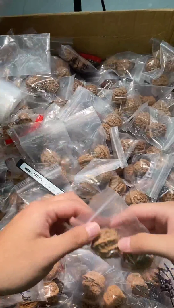 其他核桃【SSS四座楼】35尺树王老区3号山场头树果AAA+