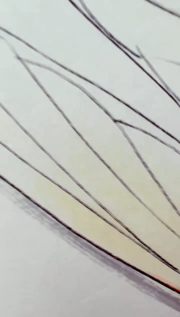 国画卞增林老师绘画2平尺