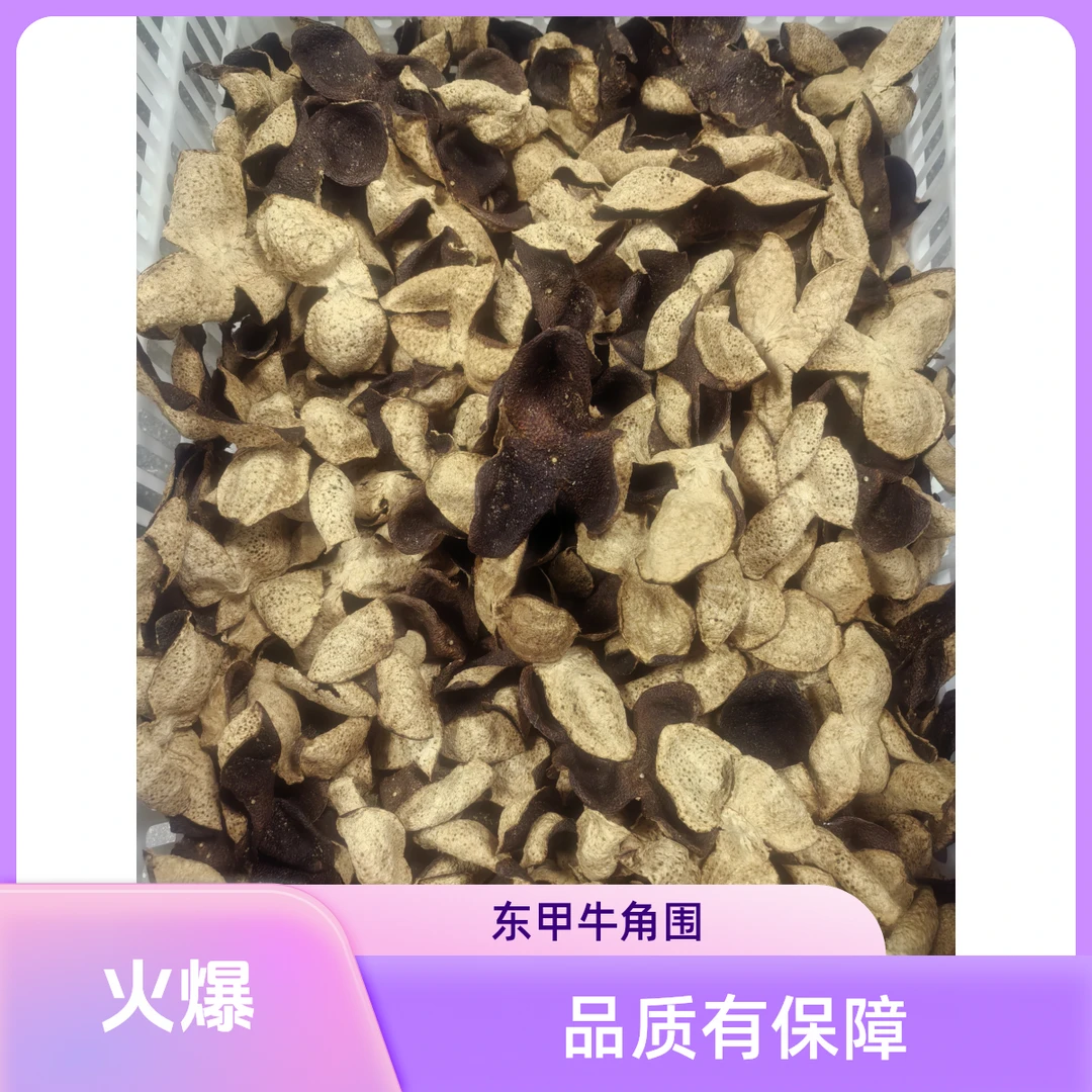 2019年东甲牛角围大红皮