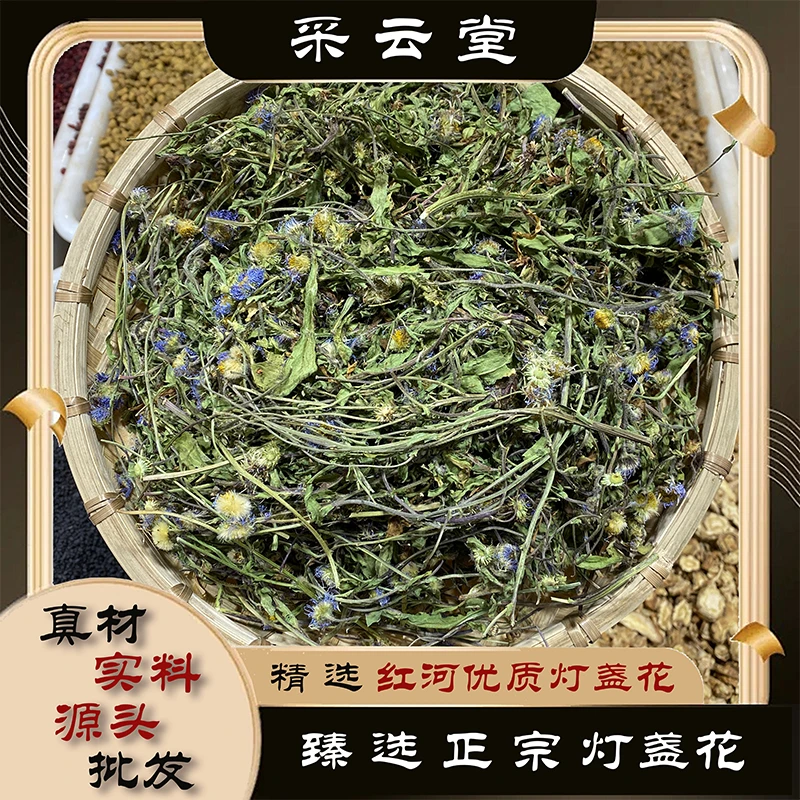 灯盏花 精选新货 红河产灯盏细辛100g起购 另有益母草