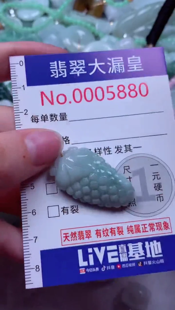 吊坠(不含链)未镶嵌翡翠5880