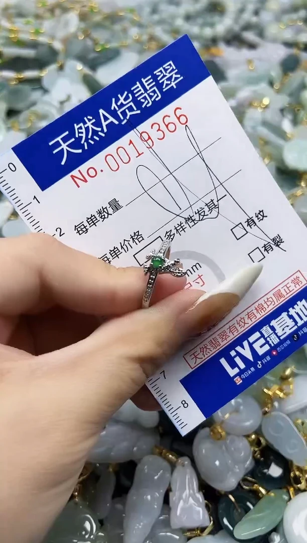 【闪购商品】翡翠颈饰未镶嵌天然A货翡翠