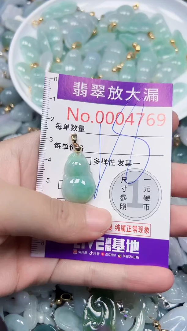 颈饰未镶嵌翡翠4769