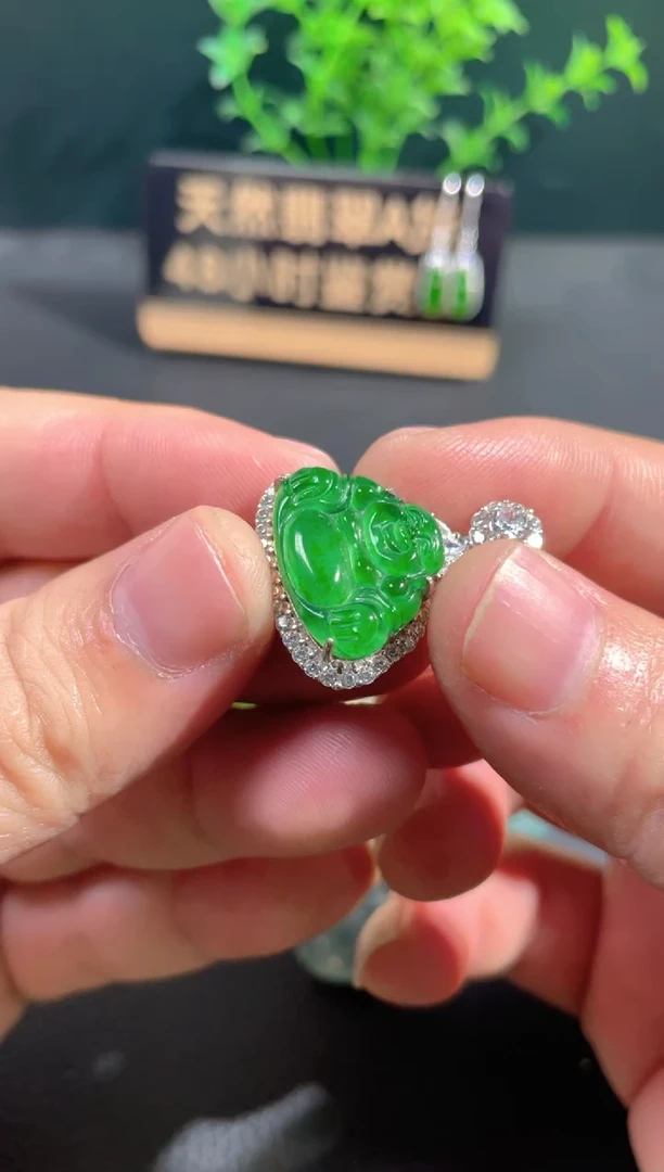 【闪购商品】翡翠颈饰未镶嵌翡翠