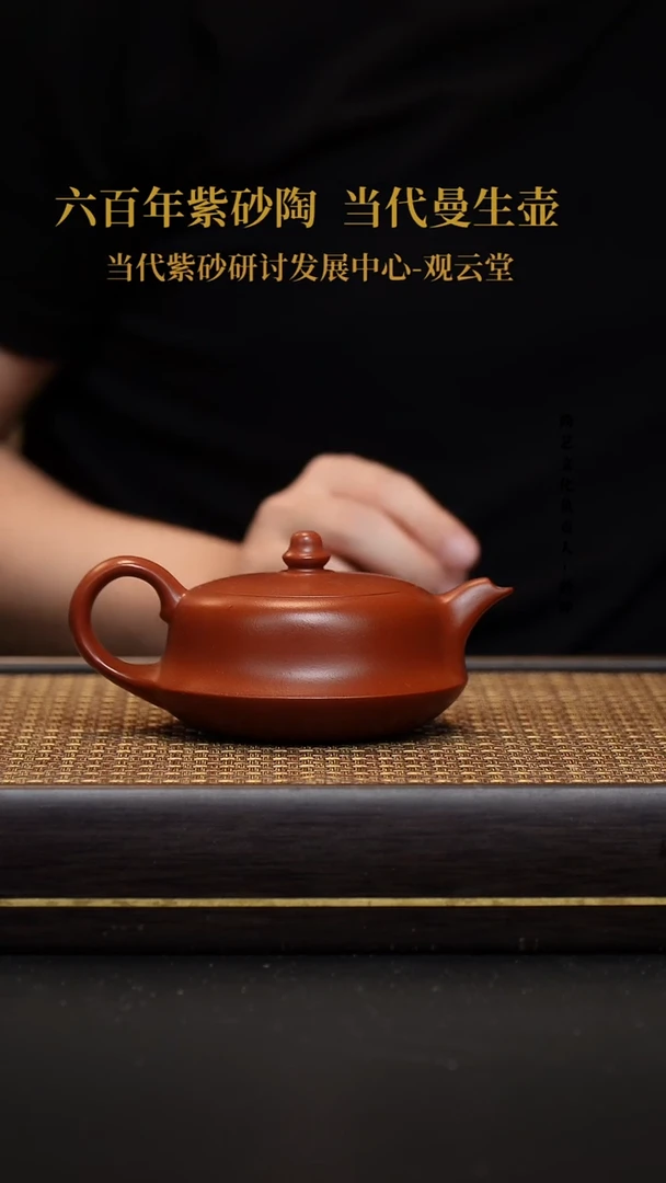 茶壶紫砂宜兴紫砂壶曲壶