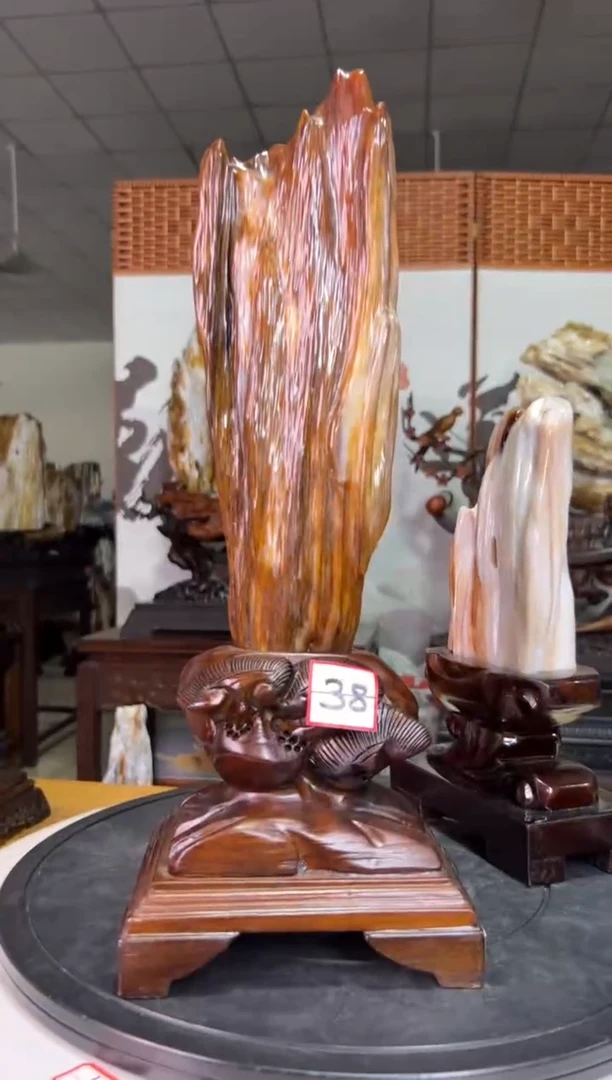 未镶嵌珠宝奇石硅化玉6