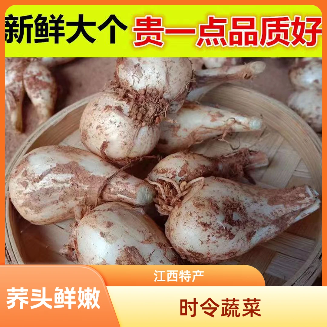 新鲜荞头农家自种教头现挖大个藠头去叶去叶江西做泡菜时令蔬菜
