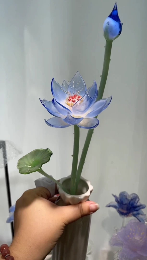 琉璃12荷花 福利款