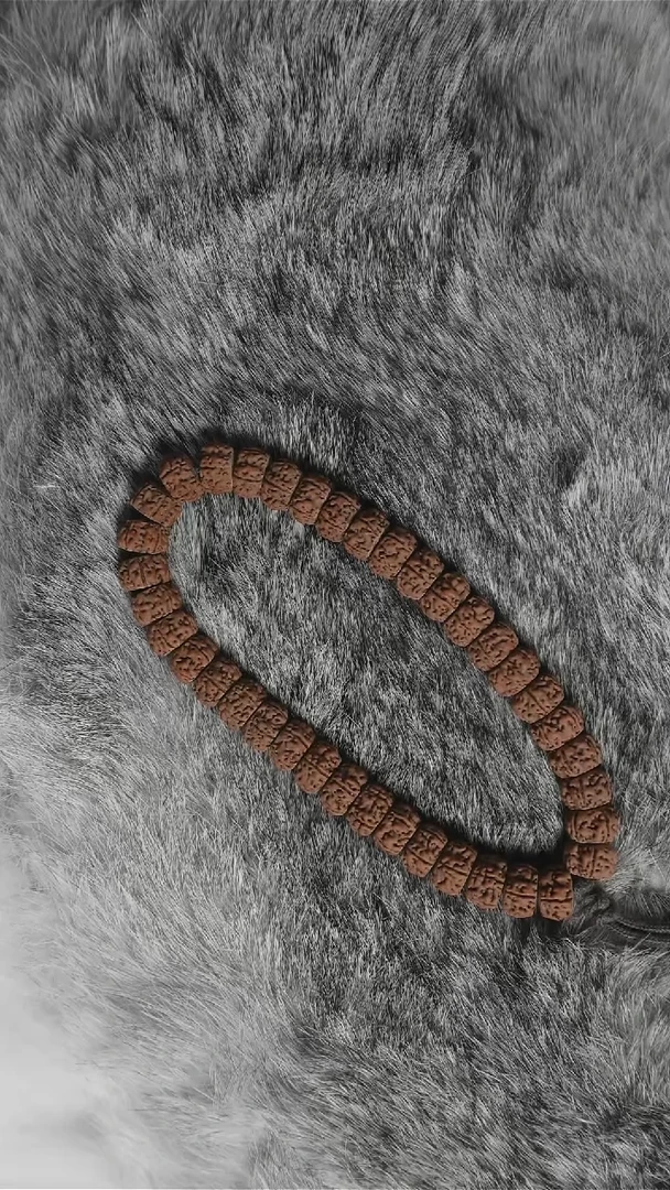 手串金刚菩提藏式老树王手串12+mm