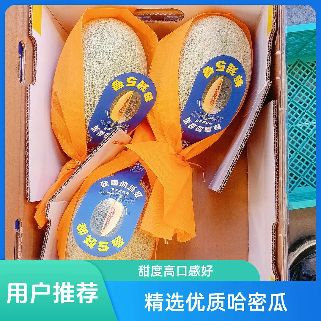 【整果】新鲜哈密瓜 福利