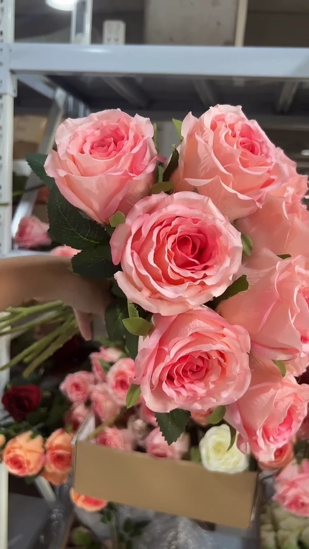 10枝粉色洛神（微瑕不售后）