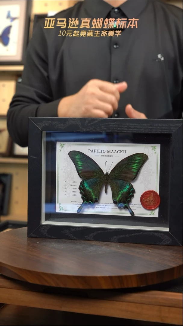 绿带翠夏国风版8寸竖