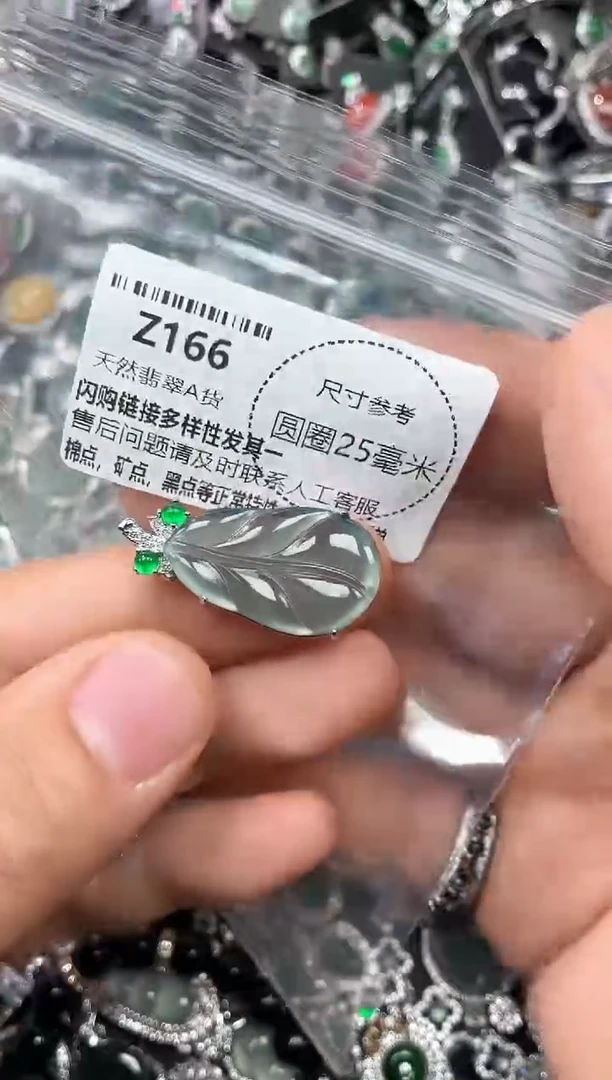 翡翠未镶嵌颈饰Z166吊坠
