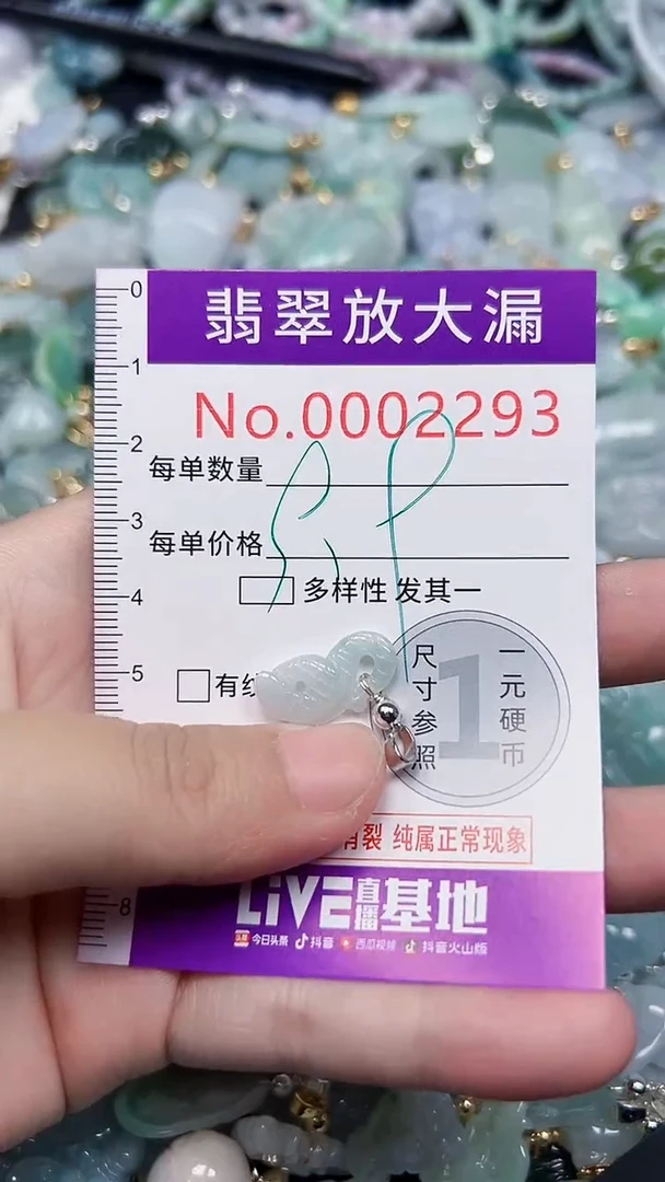 颈饰未镶嵌翡翠2293