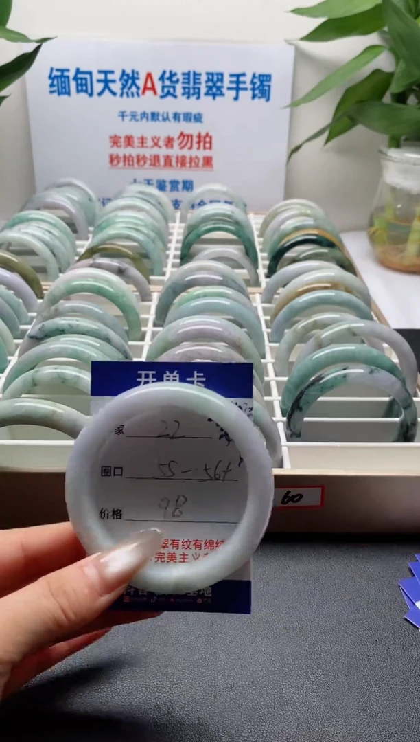 未镶嵌手镯翡翠22