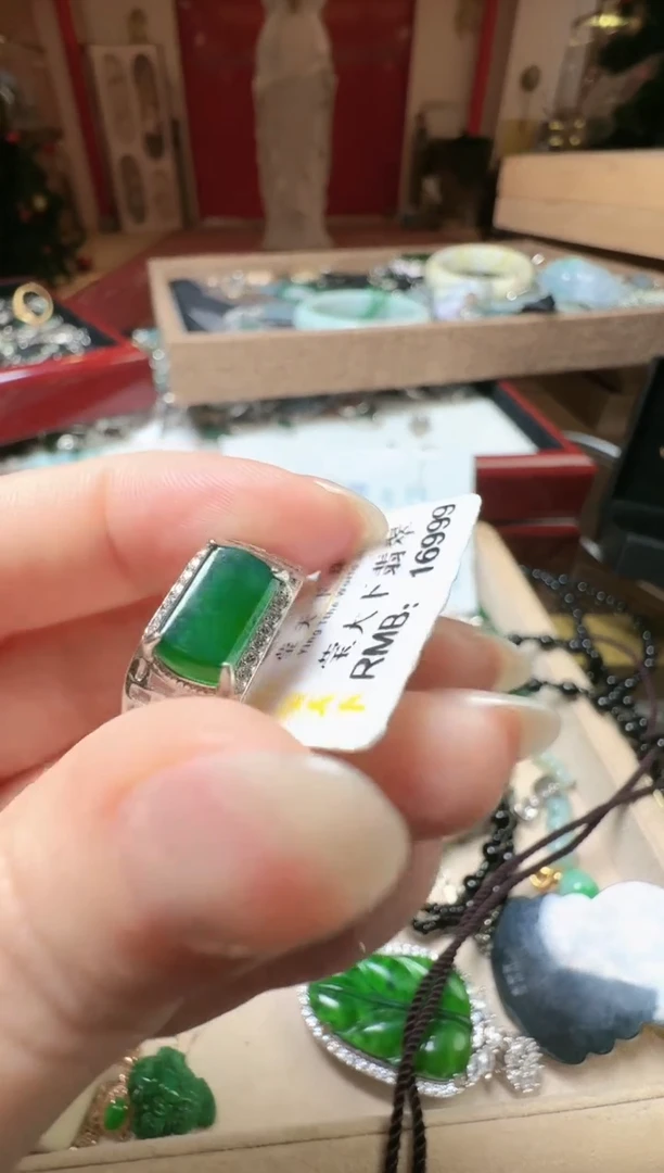 【闪购商品】翡翠吊坠(不含链)未镶嵌翡翠