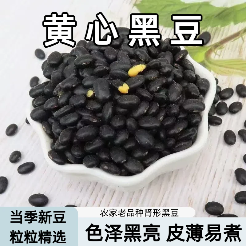 黄心黑豆老品种肾形黑豆生黑豆雄黑豆纯黑豆五谷杂粮颗粒均匀饱满