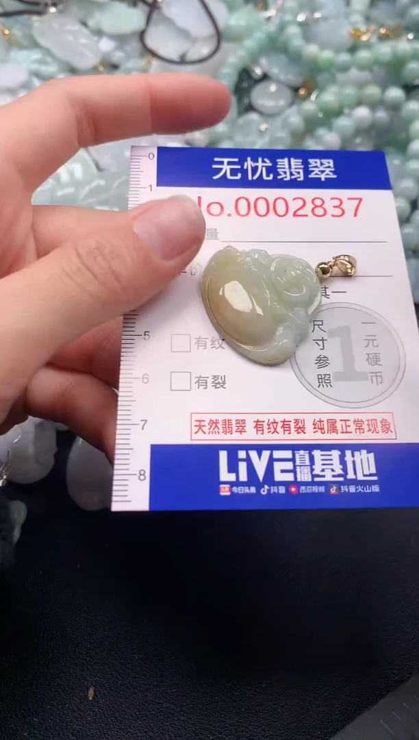 吊坠(不含链)未镶嵌翡翠2837
