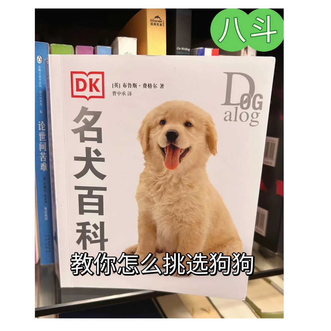 八斗教你如何选狗狗