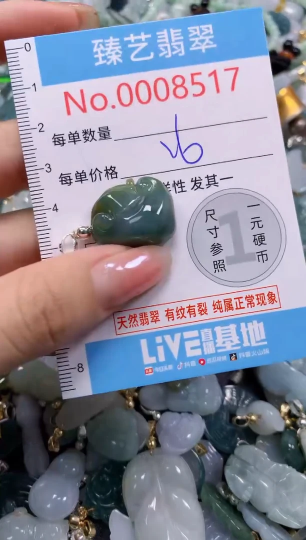 颈饰未镶嵌翡翠8517