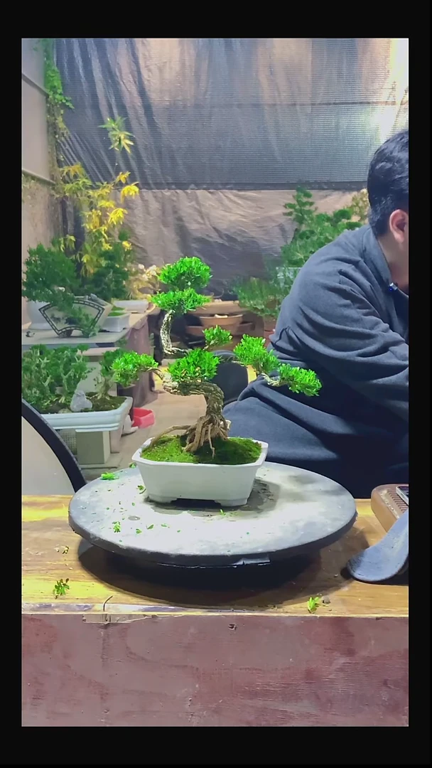 完全开放?**楠11111111111