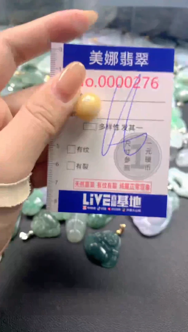颈饰未镶嵌翡翠276