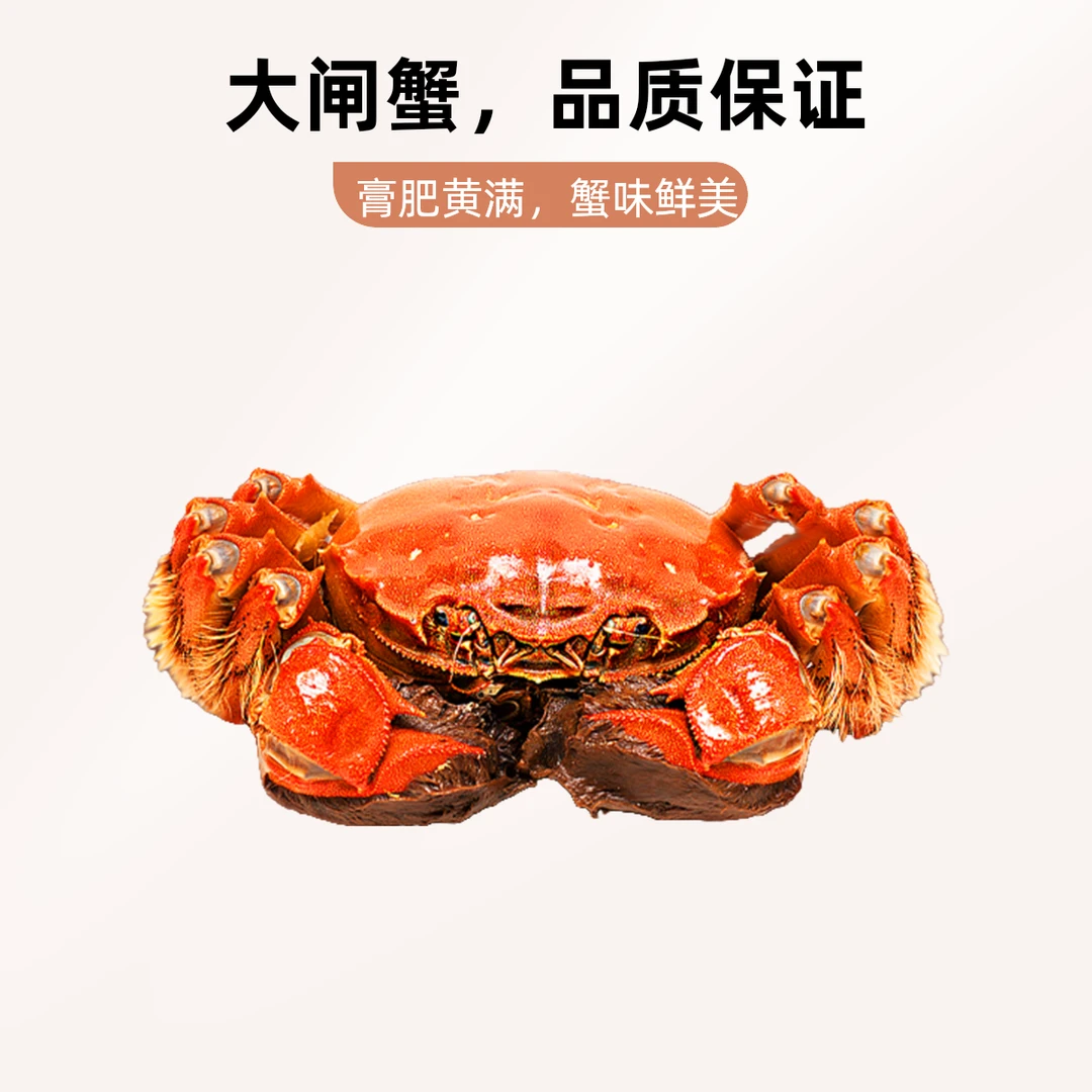 活蟹】江苏兴化大闸蟹 母蟹2.0-2.3两*10只 顺丰京东包邮