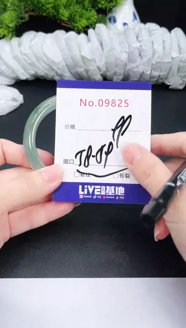 未镶嵌手镯翡翠9825