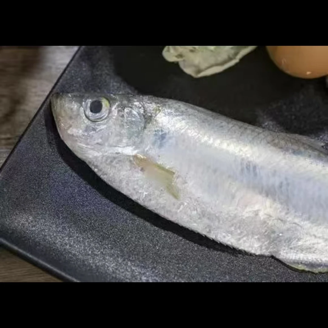 东海热气白鳞鱼~香鱼~到手3.5斤以上~冰鲜发货~顺丰包邮海鲜