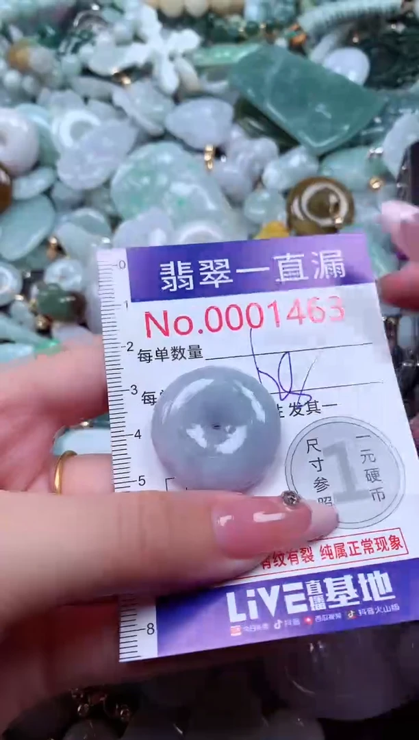 翡翠未镶嵌吊坠(不含链)1463