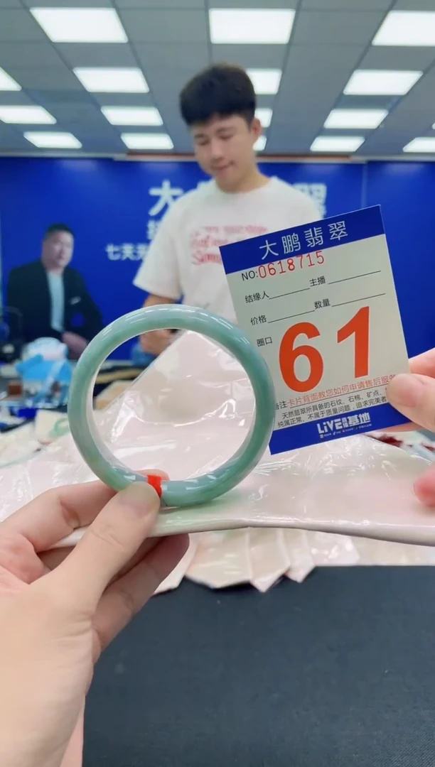 未镶嵌手镯翡翠AAAAAAAAA