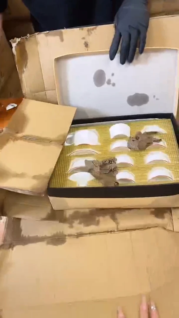 商品链接@@@@@@@@@@@@@@