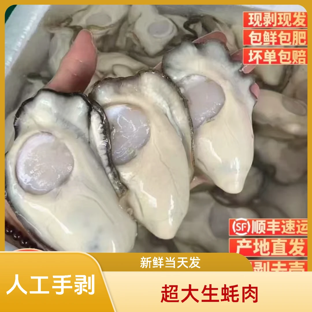 【顺丰冷链】A+超大生蚝肉 新鲜生蚝肉当天生蚝去壳生蚝肉250克/盒