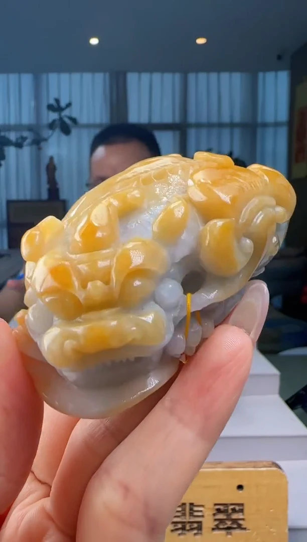 颈饰未镶嵌翡翠配底座YJ@@960Q3J22269