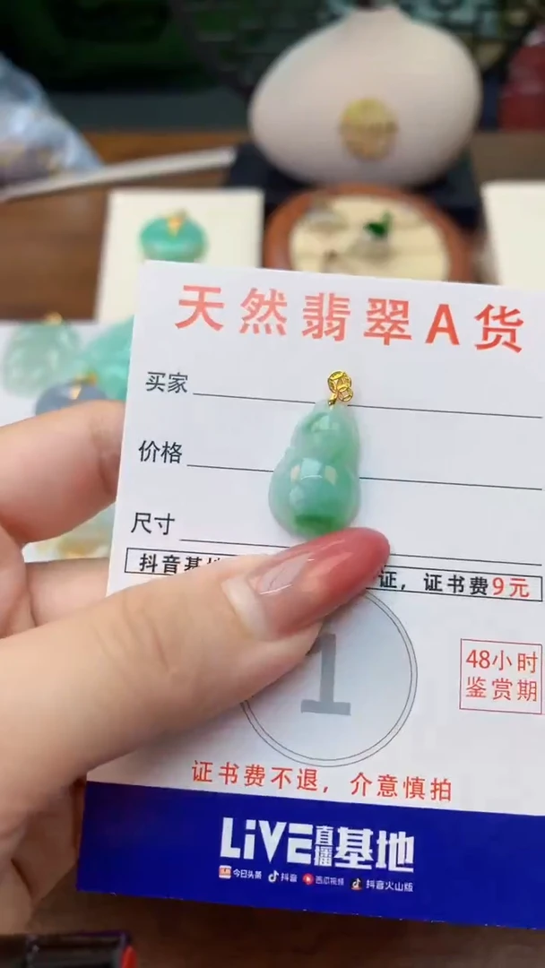 颈饰未镶嵌翡翠天然A货翡翠挂件