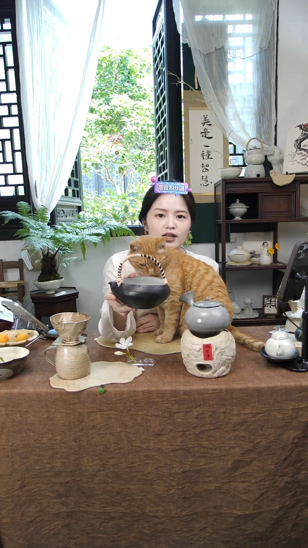 陶瓷（微瑕）澜夜桃心提梁花器HW000032