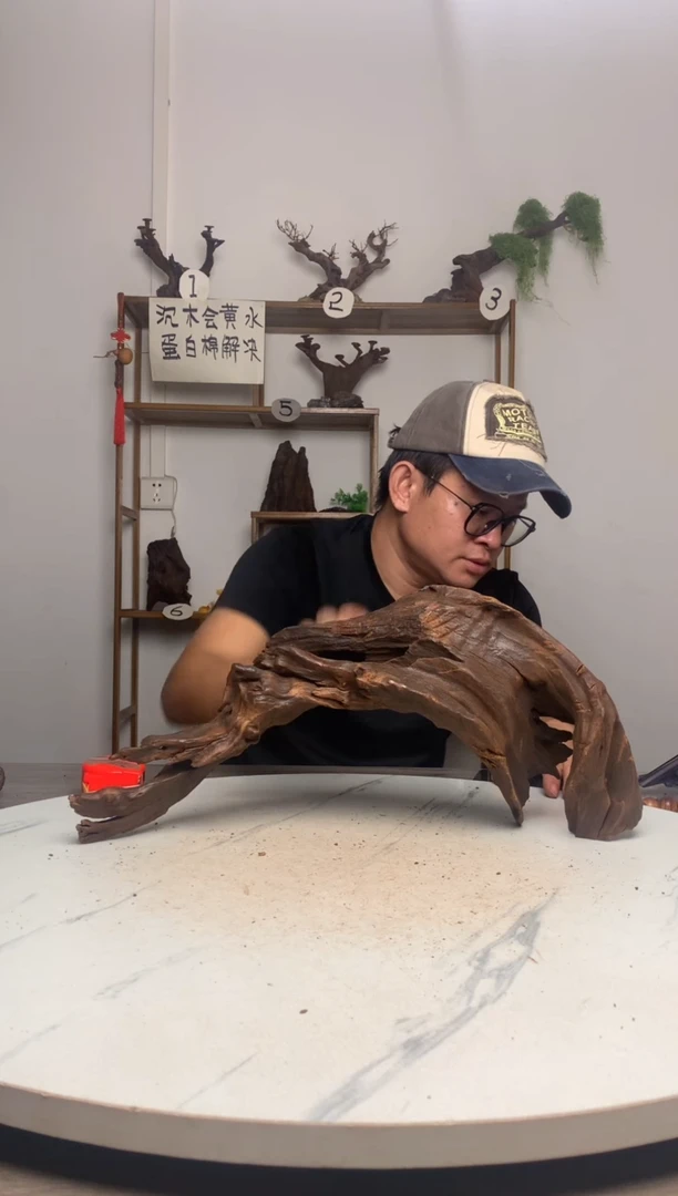 九*:鱼缸造景沉木摆件