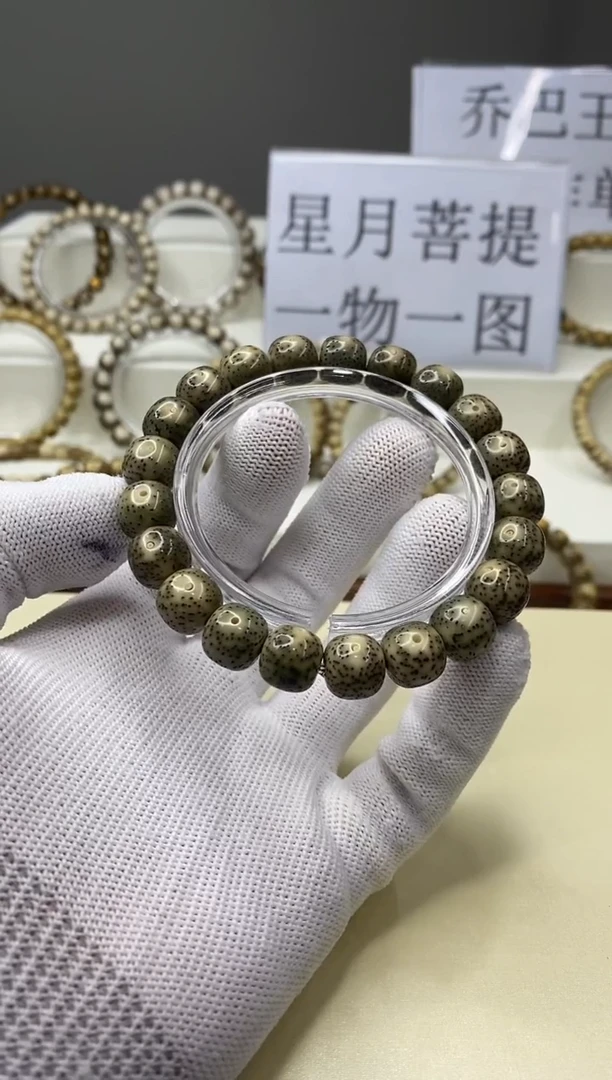 手串星月菩提一物一图-W2-135