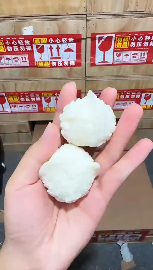 又禧文玩精品手串-无礼盒-@@g029