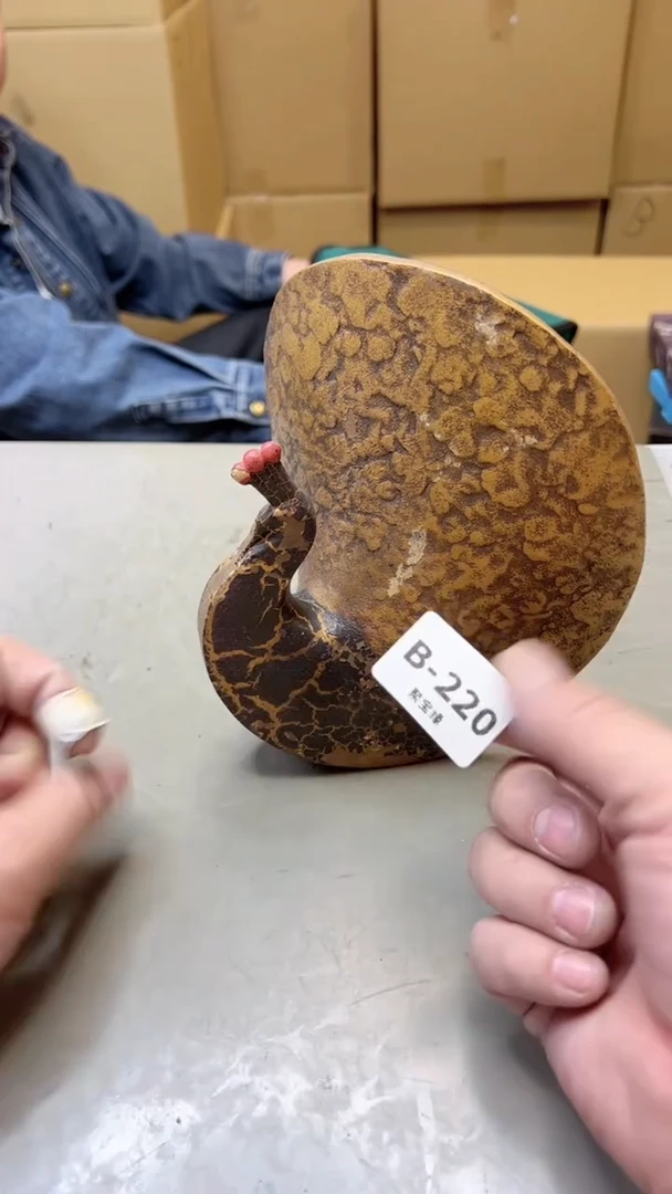 【闪购商品】瓷片220聚宝缘二号店